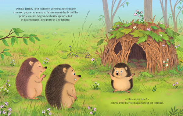 L'aventure de Petit Hérisson