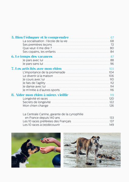 Bien dans ses pattes