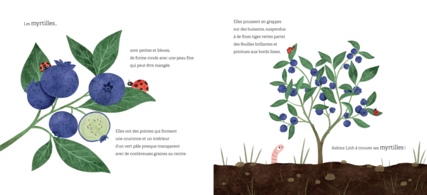 Le jardin sur le toit de Linh