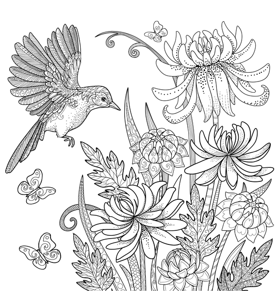 Vols d'oiseaux - Coloriages pour me détendre