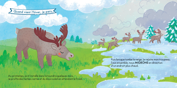 Quand vient l'hiver... que font les animaux ?