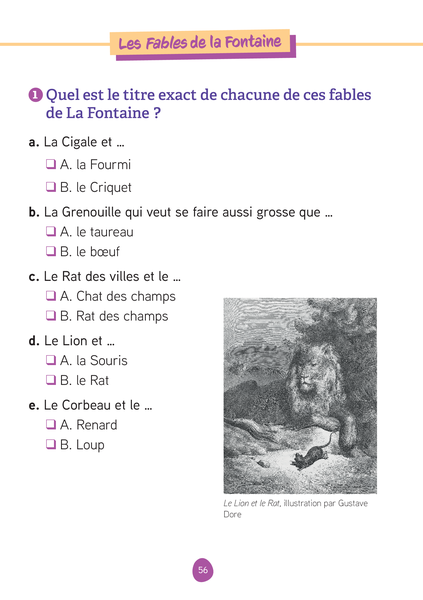 Les fiches d'entraînement effaçables - Français - 6e