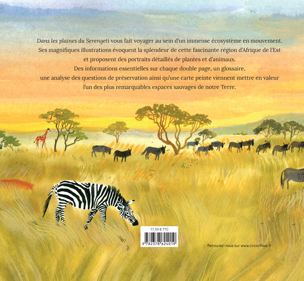Dans les plaines du Serengeti