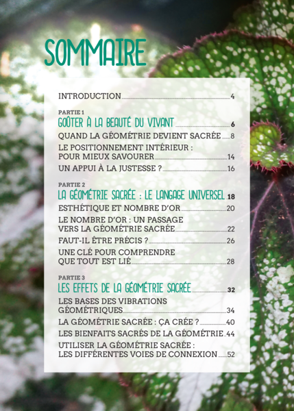 Le Petit Guide de la géométrie sacrée