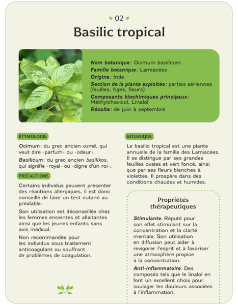 Coffet - Huiles essentielles