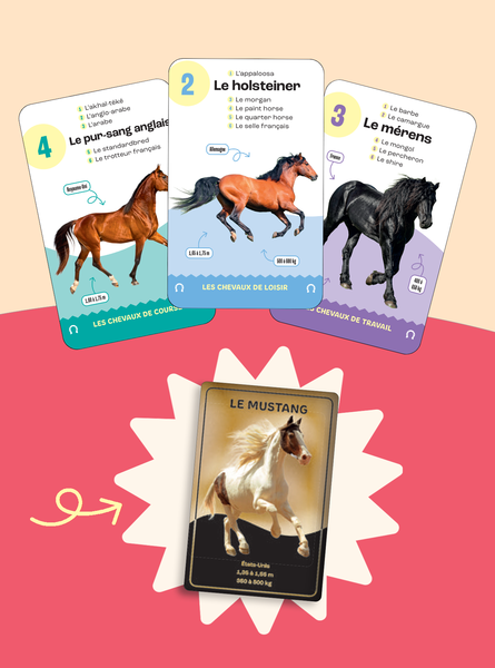 Mon jeu de 7 familles - Chevaux et poneys