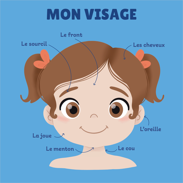 Mon tout premier imagier du corps humain