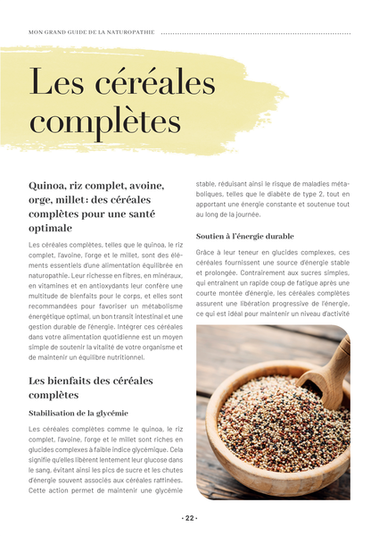 Mon grand guide de la naturopathie