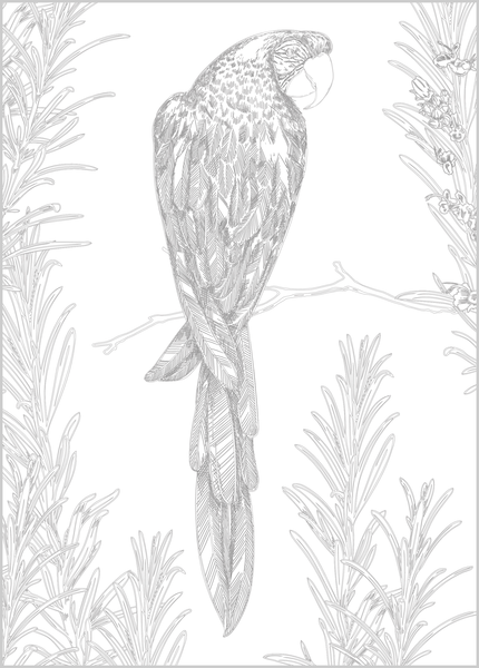 Mes affiches créatives - Au paradis des oiseaux