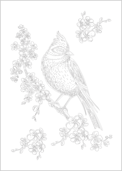 Mes affiches créatives - Au paradis des oiseaux