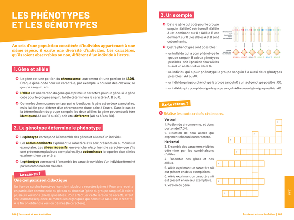 Savoirs fondamentaux 4e - Toutes les matières