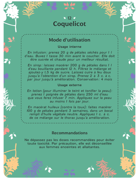 Coffret - Plantes médicinales