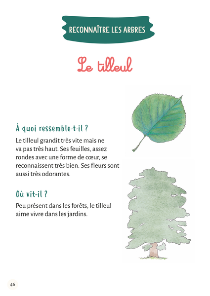 Mon premier herbier Fleurs et feuilles
