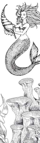 Marque-pages - Créatures merveilleuses