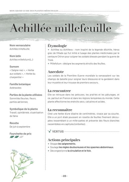 Mon grand guide des plantes médicinales