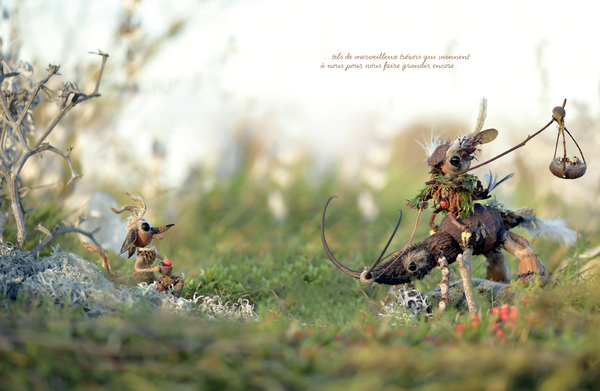 Land art - Graines d'inspiration