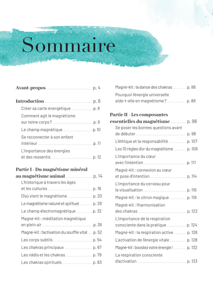 Mon grand guide du magnétisme
