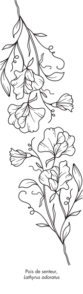 Marque-pages - Botanica