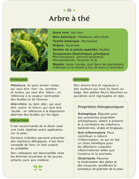 Coffet - Huiles essentielles