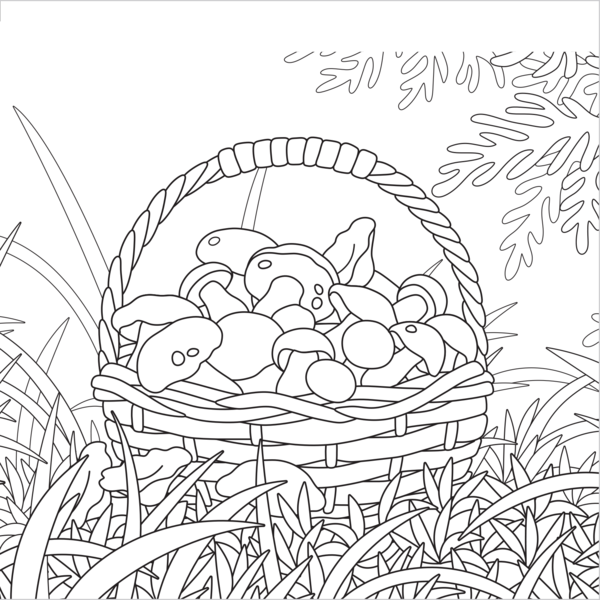 Instant coloriage - Cueillette en forêt