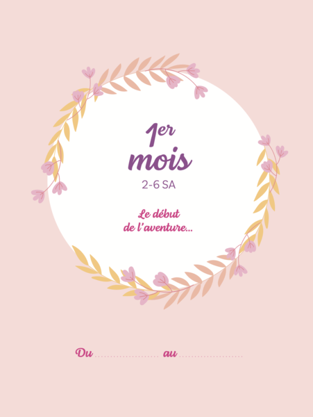 Le carnet de bord de ma grossesse