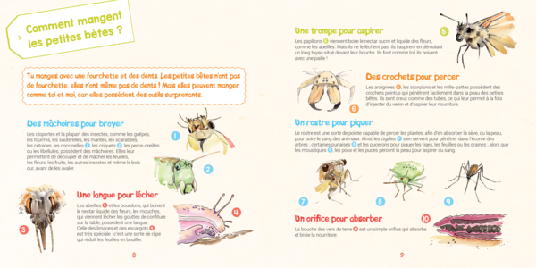 Je découvre les petites bêtes
