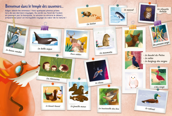Cherche & trouve Edgar - Ses amis les animaux