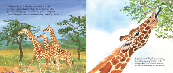 Dans les plaines du Serengeti