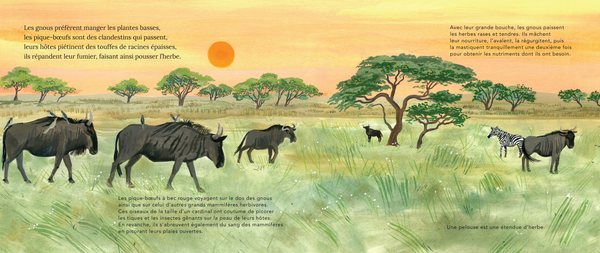 Dans les plaines du Serengeti