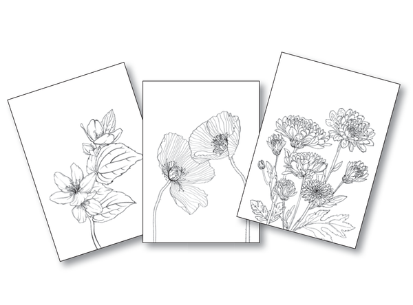 Coffret - Évasion florale - 30 illustrations à peindre à l'aquarelle