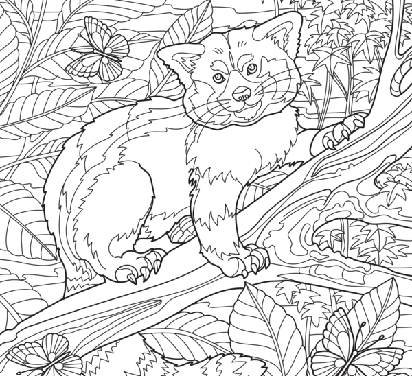 Instant coloriage - Animaux sauvages