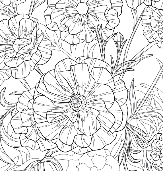 Fleurs sauvages - Coloriages pour me détendre