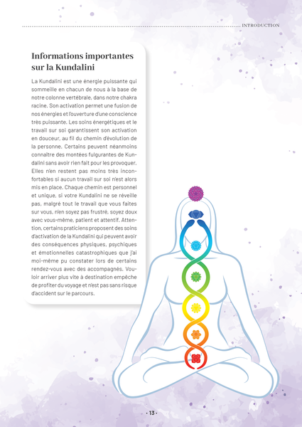 Mon grand guide des chakras