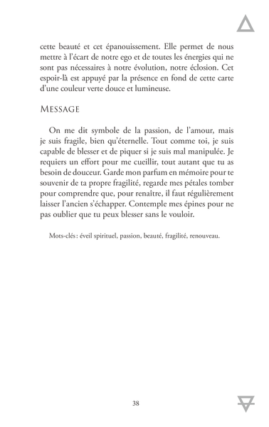 L'Oracle de la Révélation - Apaiser ses émotions (jeu d'art divinatoire)