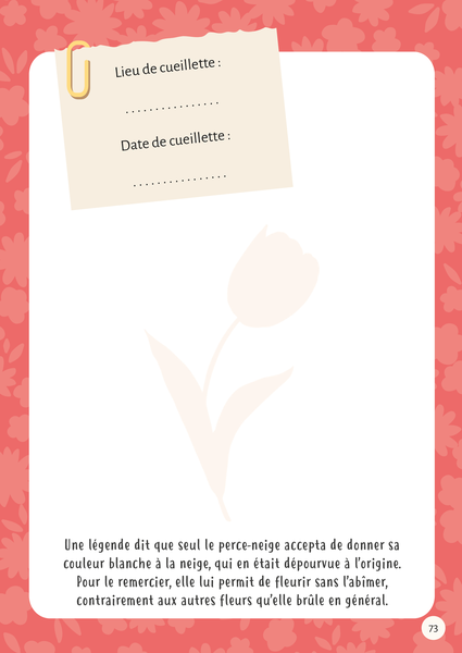 Mon premier herbier Fleurs et feuilles
