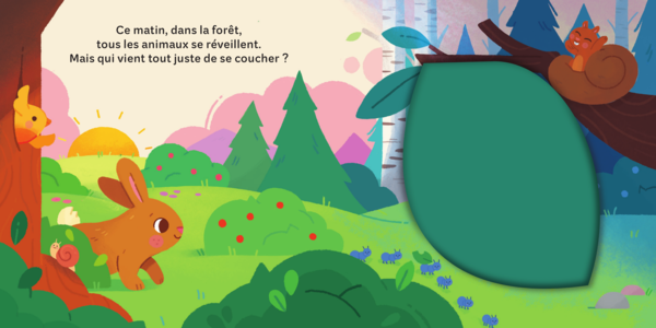 Drôles de dodos - Mes petits coucous