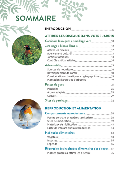 Inviter les oiseaux dans son jardin