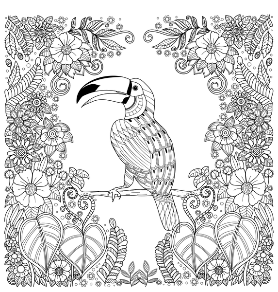 Vols d'oiseaux - Coloriages pour me détendre