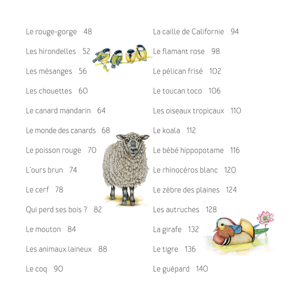 Dessiner les animaux, du croquis à la mise en couleur