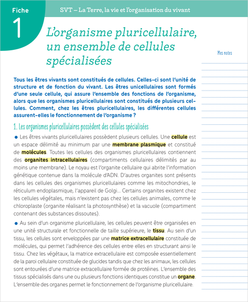 Boite à fiches - Seconde