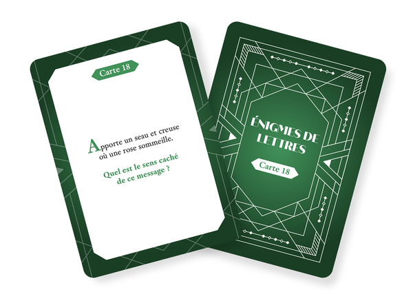 ÉnigMania - 100 cartes pour défier ses méninges !