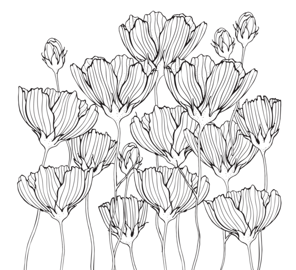 Instant coloriage - Pouvoir des fleurs