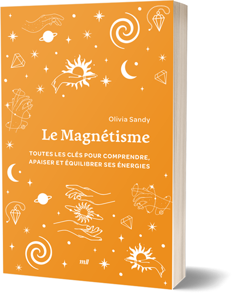 Le Magnétisme (format poche)