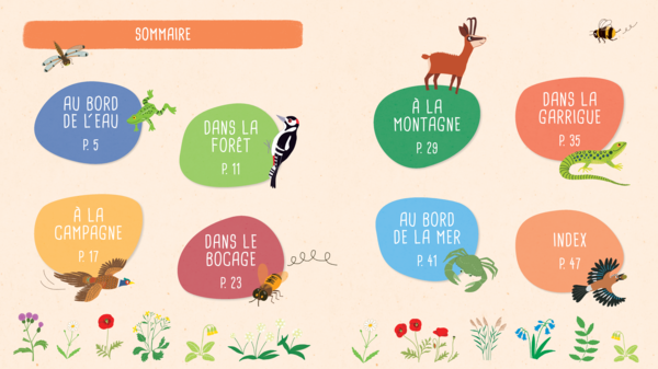 Je découvre la nature en me promenant