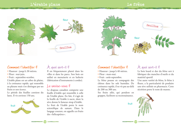 Les trésors de la nature