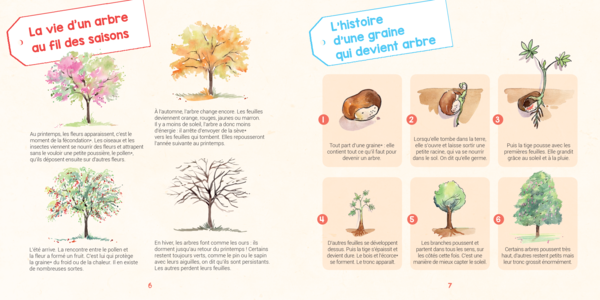 Je découvre les arbres