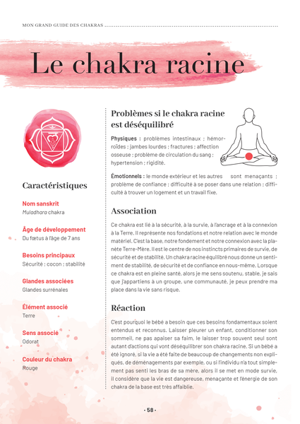 Mon grand guide des chakras