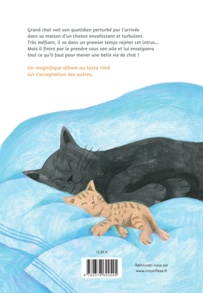 Grand chat, petit chat