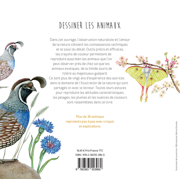 Dessiner les animaux, du croquis à la mise en couleur
