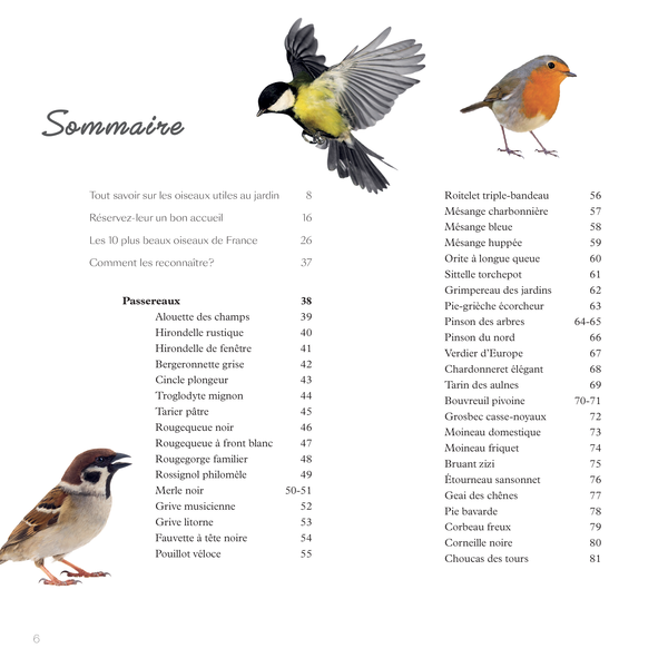 Le guide amoureux des oiseaux du jardin et des grands espaces